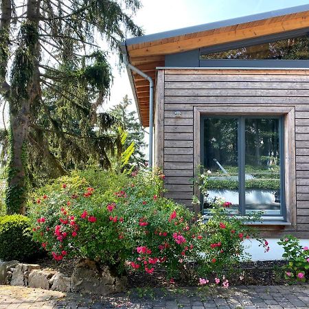 Balthasar Ress Guesthouse Am Rebhang Im Rheingau Oestrich-Winkel Exteriör bild