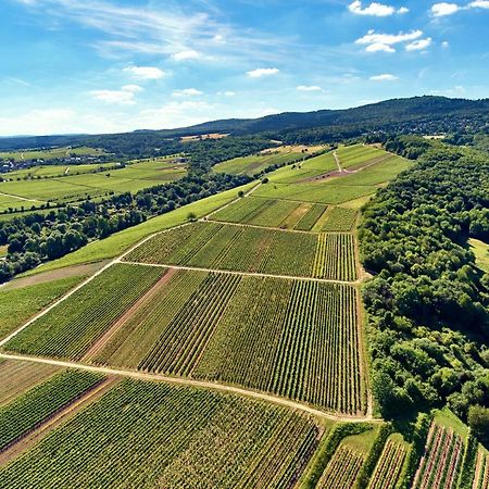 Balthasar Ress Guesthouse Am Rebhang Im Rheingau Oestrich-Winkel Exteriör bild