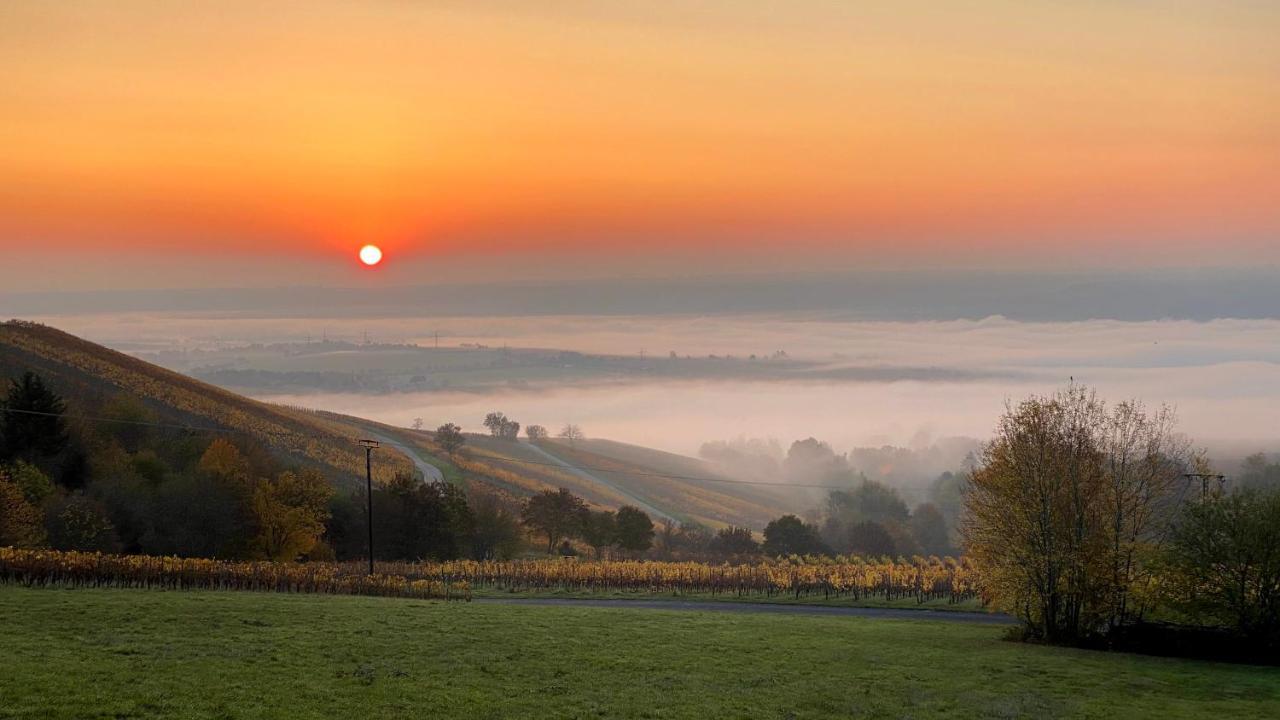 Balthasar Ress Guesthouse Am Rebhang Im Rheingau Oestrich-Winkel Exteriör bild