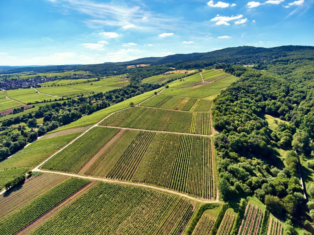 Balthasar Ress Guesthouse Am Rebhang Im Rheingau Oestrich-Winkel Exteriör bild